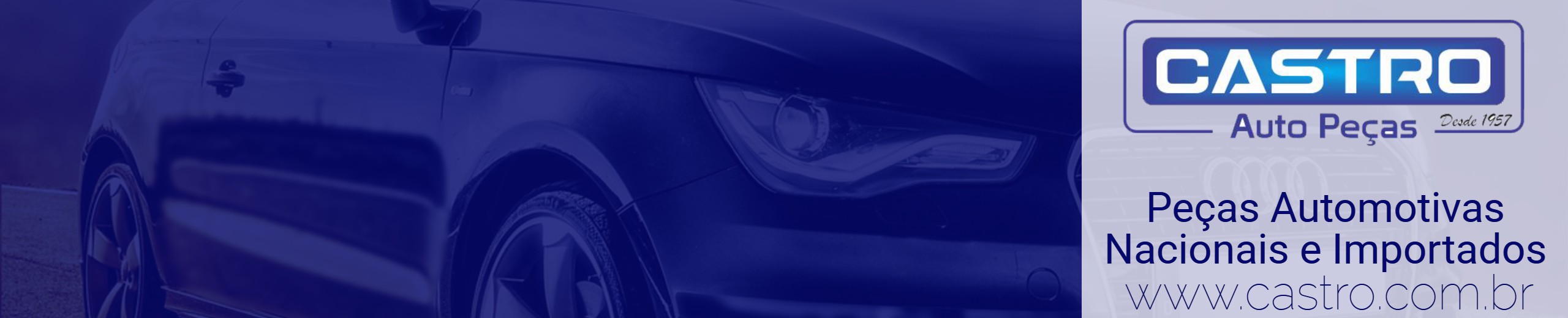 AUTO PEÇAS CASTRO LTDA