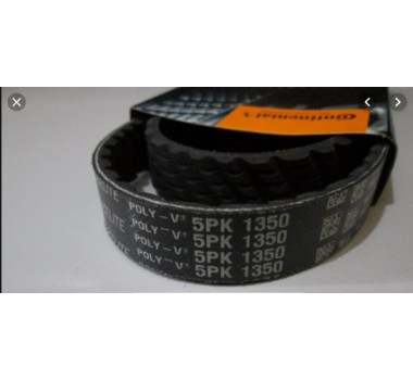 CORREIA DH PAJERO TR4 IO / ALT PAJERO 3.0 5PK1350
