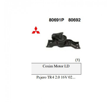 Imagem: COXIM MOTOR DIREITO TR4 02/14  