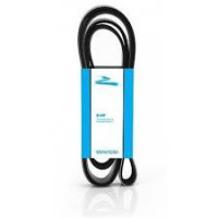 Imagem: CORREIA ALTERNADOR RENAULT CLIO - 1997 / 2008 1.  