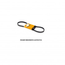 CORREIA ELASTICA AR CONDICIONADO FOCUS NEW FIEST  