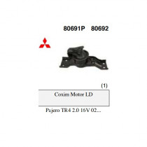 Imagem: COXIM MOTOR DIREITO TR4 02/14  