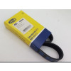 Imagem: CORREIA ALTERNADOR 306 405 BOXER DUCATO 6PK698  