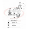 Imagem: BIELETA PATHFINDER APOS 2005 LADO ESQUERDO TRASE  