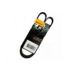 Imagem: CORREIA ALTERNADOR MONDEO RANGER CARAVELLE EUROVAN  