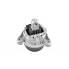 Imagem: COXIM MOTOR ESQUERDO DIREITO BMW SERIE 5 2009 /   