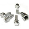 Imagem: KIT PARAFUSO DE RODA ANTIFURTO C/ 1 CHAVE  